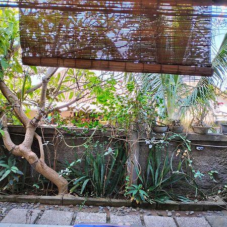 Dharma Yoga Homestay Dan Hostel Amed Dış mekan fotoğraf